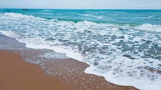 "ОСЕННЕЕ МОРЕ" Шум прибоя › Крик Чаек › Шелест Волн › Глубокий Сон