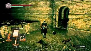 Dark Souls - Blacksmith Vamos