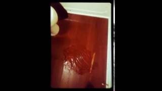 Exstreme dead prank on stepmom