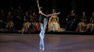 Swan Lake(3) Yulia Stepanova, Jacopo Tissi
