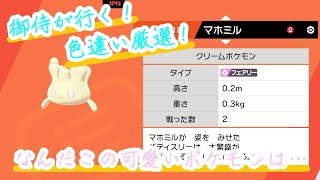 御侍がいくマホミル色違い厳選！283匹目から～＃2「ポケモン　シールド」