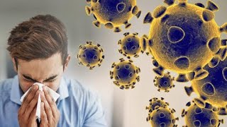 WHO - Questions & Answers on Novel Corona Virus (2019-nCoV)