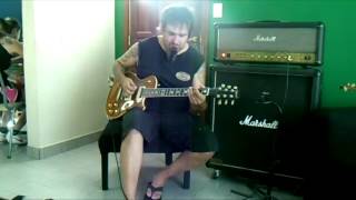 Marshall Zakk Wylde Shenier mod / Salcedo Paulino