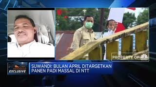 Atur Pola & Strategi Tanam, Kunci Percepat Produksi Food Estate