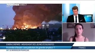 Rouen : une pollution de grande ampleur?