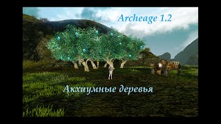 archeage 1.2 Акхиумные деревья