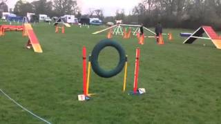 Dawn & Ruby Adams Devon 5/4/14 tuggenuff qualifier agility