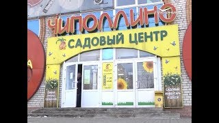 Что такое ИТО-пионы