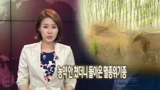 [대구MBC뉴스] 농약 안 쳤더니 돌아온 멸종위기종