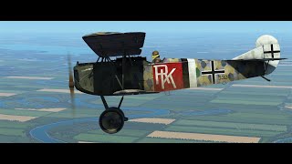 IL 2  Sturmovik  Flying Circus