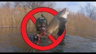 ПОДВОДНАЯ ОХОТА в Воронежской области скоро станет НЕВОЗМОЖНОЙ!