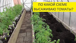 Какую схему посадки томатов в теплице я использовала в этом году. 