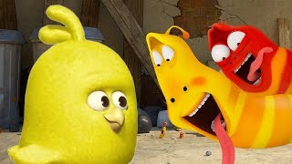 LARVA - A BIG NEW FRIEND | Cartoons For Children | LARVA Official