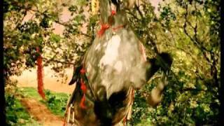 Ирина МИРОНОВА. Music Video Mix 2000-2010