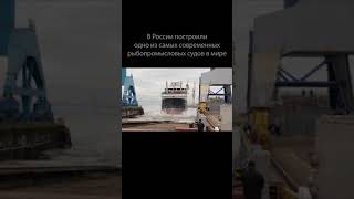 Cупертраулер. В России построили одно из самых современных рыбопромысловых судов в мире #Shorts