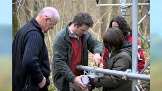 Does forest colour tell how much carbon dioxide is absorbed by deciduous trees?