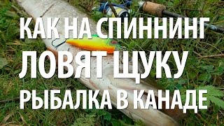 РЫБАЛКА на ЩУКУ в КАНАДЕ СПИННИНГОМ