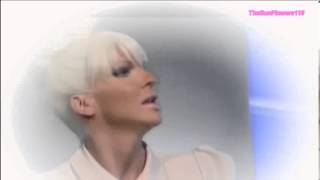 Jelena Karleusa Istina sarenog papira // FILM NAJAVA 2013