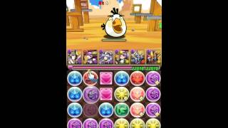 パズドラ アングリーバードコラボ  地獄級 闇ヨミ×光アヌビス Sランク