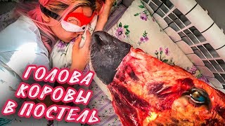 ПРОСНУЛАСЬ С ГОЛОВОЙ КОРОВЫ | ПРАНК