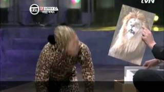 최강의 맹수 '개새' 등장 Amazing Circus