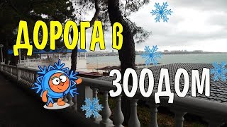 VLOG 428 Геленджик LIFE Домой в контактный зоопарк