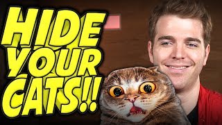 Shane Dawson [CENSORED] a Cat?!