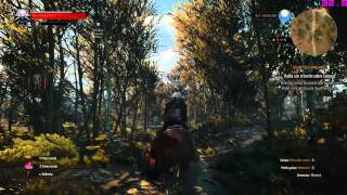 i5 4670k - GTX 750 Ti / The Witcher 3