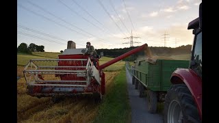 Ernte 2018 IHC 321 International am Winter Gerste dreschen Mähdrescher