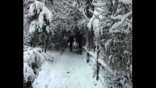 Глызин - Зимний сад