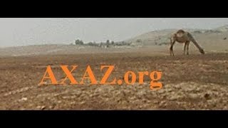721. Чем отличаются слова למהר «спешить» и להזדרז «торопиться»