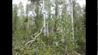 Bigfoot Expedition photos at Bear Wallow.