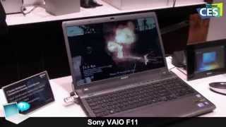 Sony VAIO F