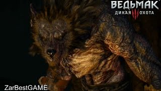 The Witcher 3: Wild Hunt - В Волчьей шкуре - Моркварг. Прохождение #61 | Gameplay Walkthrough