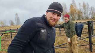 Показываю красивое! Стройка Совиного дома в доле. Почему счастлив Артём?