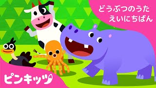 どうぶつごっこ | どうぶつのうた 日英版 | 子ども向け 英語の歌 | Animal Action | おうち英語 | 知育動画 | キッズ | ピンキッツ！