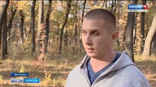 Дубовую рощу продолжают вырубать в лесопарке "Тинь-Зинь"