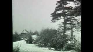Drentsche Aa in de winter 1938