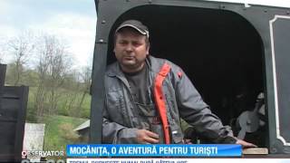 Cu Mocănița între Roșia Montană și Abrud