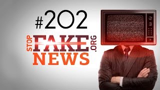 "Выборы" в РФ и что общего между путинским ЧМ по футболу и гитлеровской Олимпиадой - SFN #202