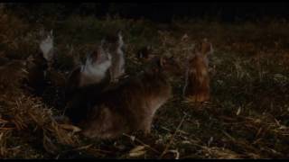 Sleepwalkers - Mother & Son Love