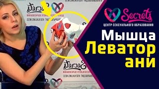 ♂♀ Леватор ани | Тренировка мышц ануса | Мышца заднего прохода | Levator ani [Secrets Center]