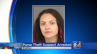 Accused Purse Thief Caught; Victim Recovers Some Belongings
