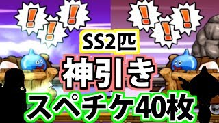【どこパレ】スペシャルチケット40枚でSSランク2枚抜きの神引き！？【どこでもモンパレ】