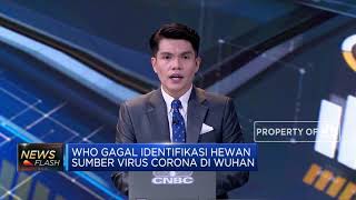 WHO Gagal Identifikasi Hewan Sumber Virus Corona di Wuhan
