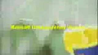 Mıknatıslı Cam Silici Kolay Cam Silme Aparatı