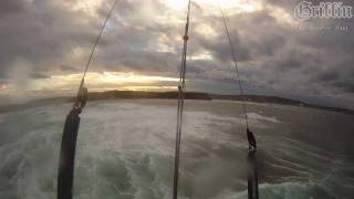 Griffin Kites Chimera 8m Kite surfing