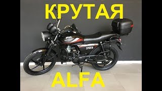Шикарная Альфа 125 кубов   Soul Sparta Alfa 125cc