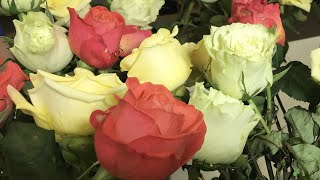 Home Remedies for Longer Lasting Cut Flowers