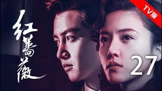红蔷薇 27丨Wild Rose 27（主演:杨子姗,陈晓,毛林林,谭凯）【TV版】